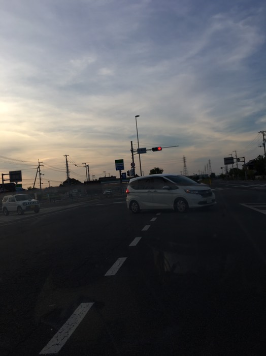 瀬戸大橋へ向かう途中