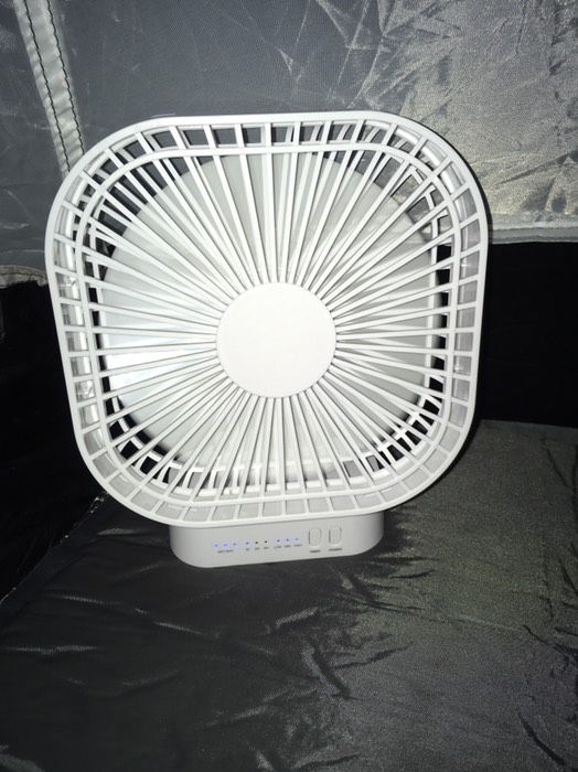 美濃田の淵🏕キャンプ場