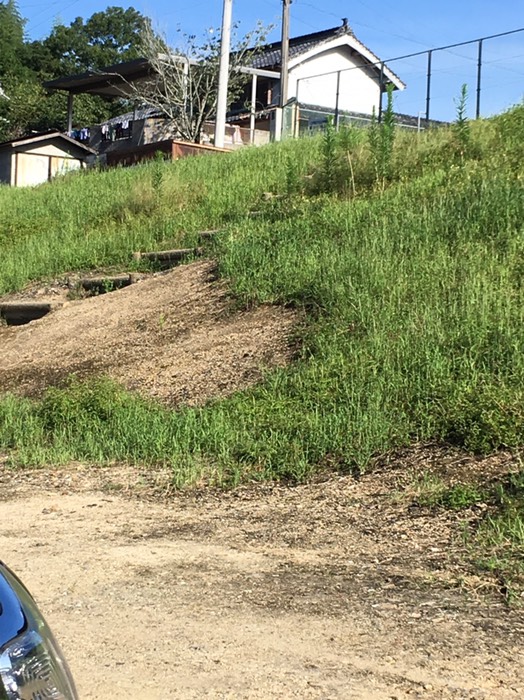 🏕美濃田の淵キャンプ場