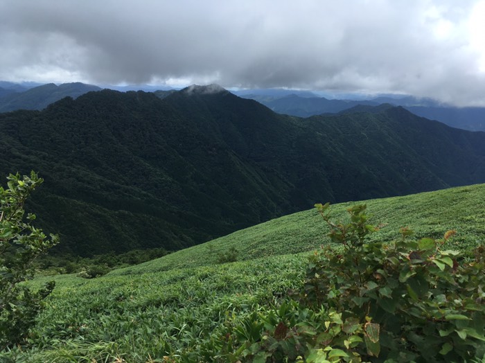 UFOライン ＝瓶ヶ森林道かめがもり
