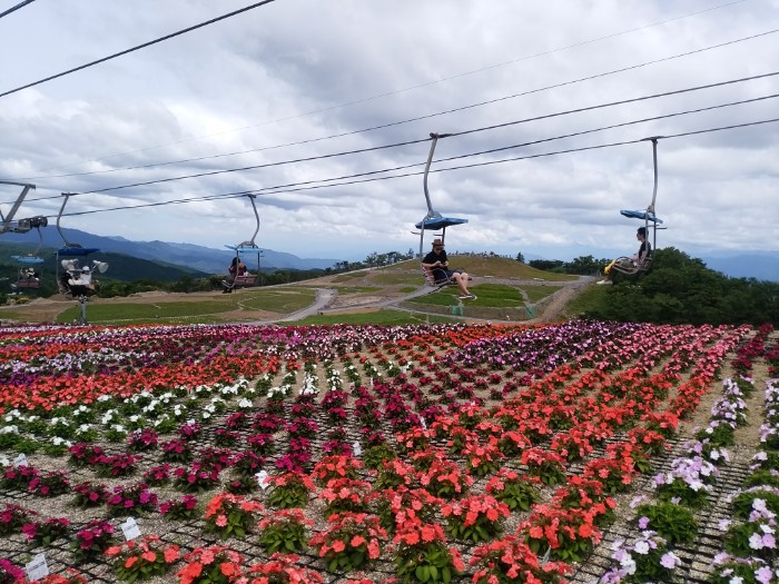 花畑とリフト