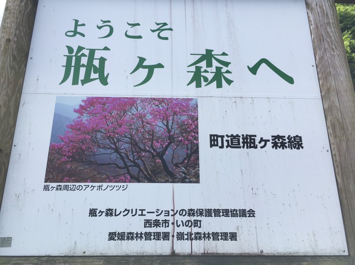 瓶ヶ森林道かめがもり