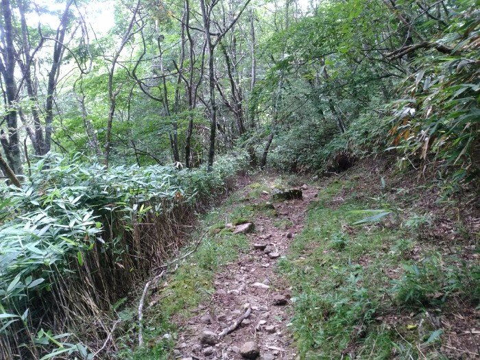 少し歩く 行先不明