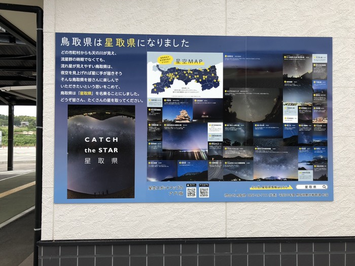とっ…とり?