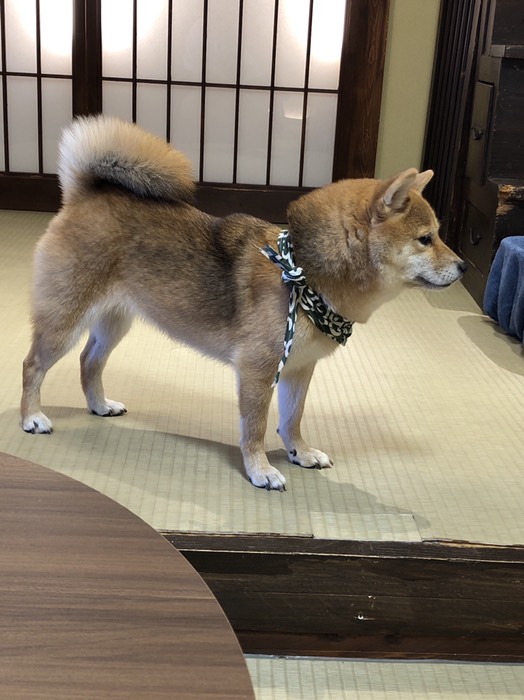 倉敷美観地区