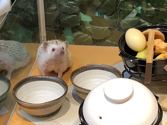 倉敷美観地区