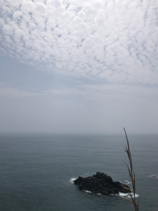 足摺岬から見た太平洋