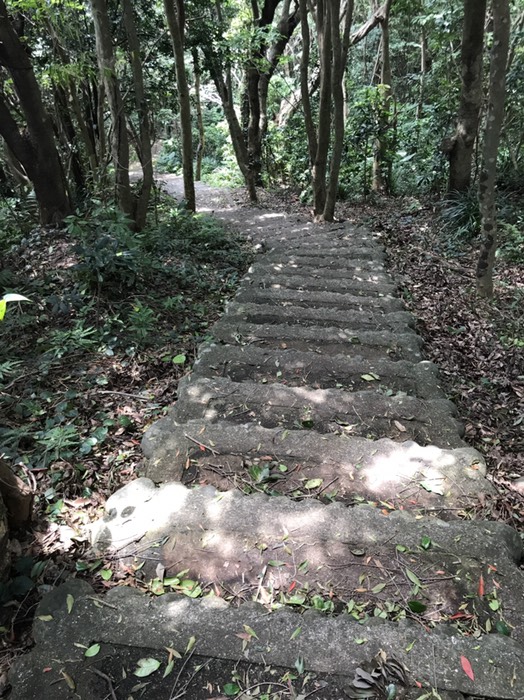 足摺岬の遊歩道