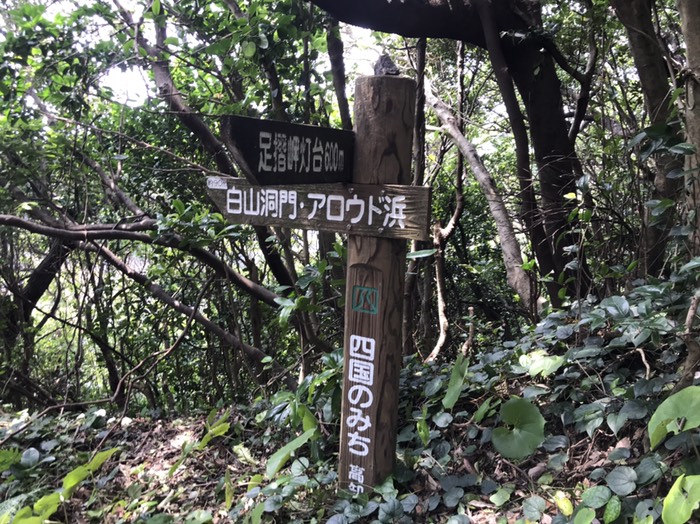 足摺岬の遊歩道