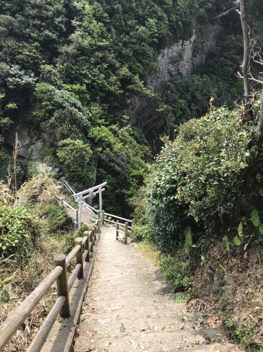 足摺岬の遊歩道