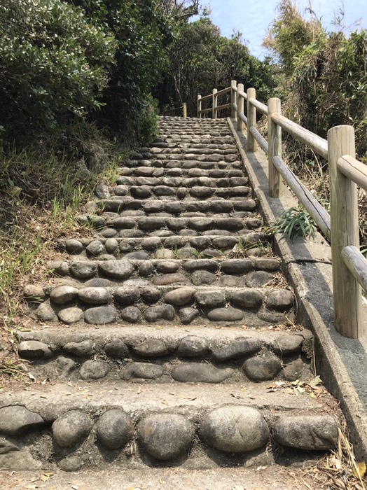 足摺岬の遊歩道