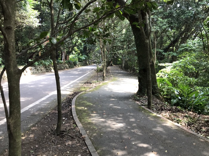 足摺岬の遊歩道