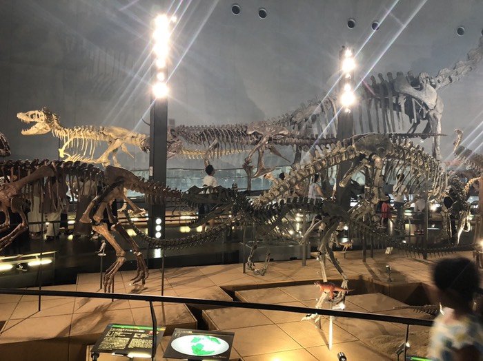恐竜博物館