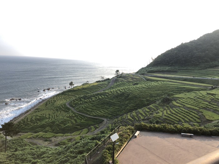 白米千枚田①