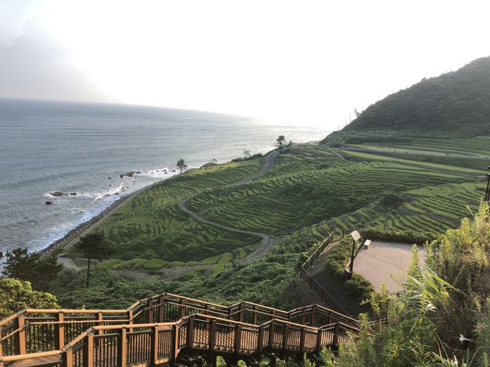 白米千枚田③