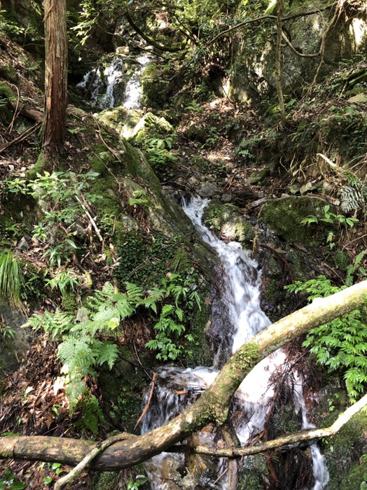 マイナスイオン