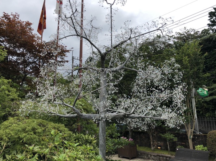 箱根ガラスの森美術館