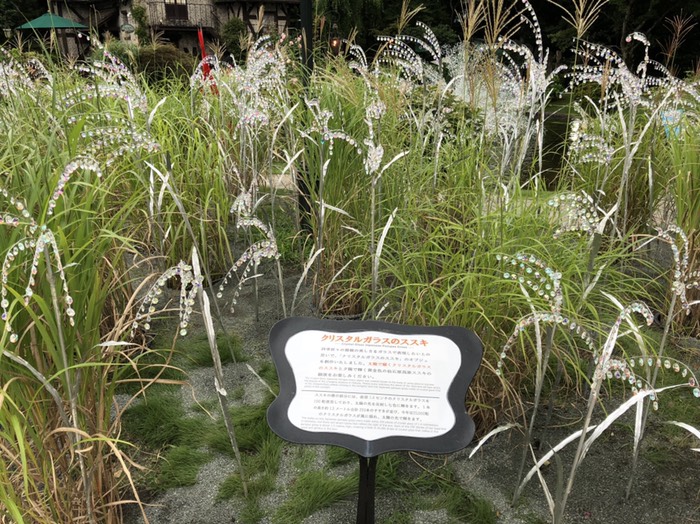 箱根ガラスの森美術館