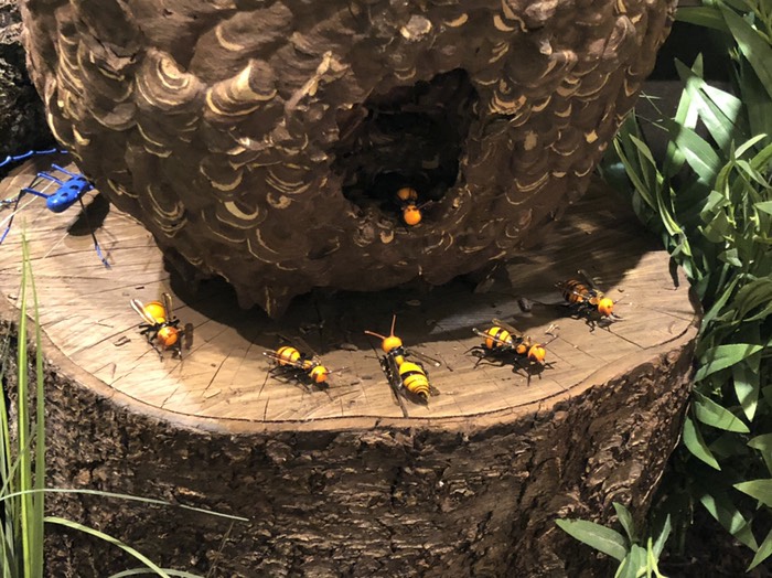 箱根ガラスの森美術館
