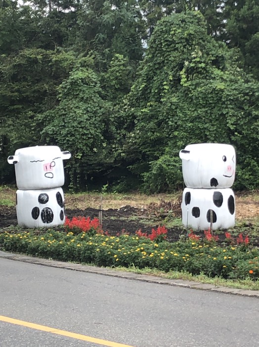 雑草まとめたやつ