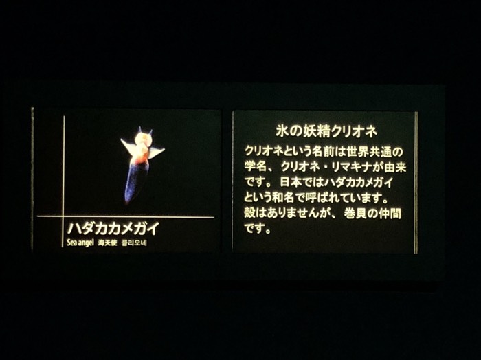 サンシャインシティ水族館