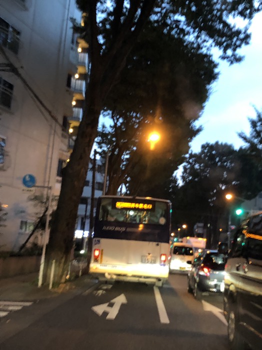 都内のとある道