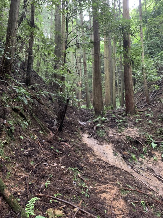 道ここまで  この先