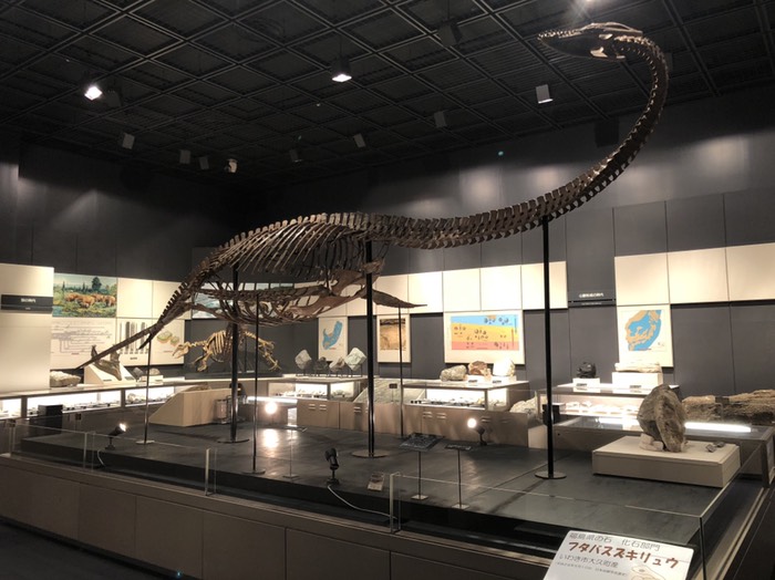 福島県立博物館