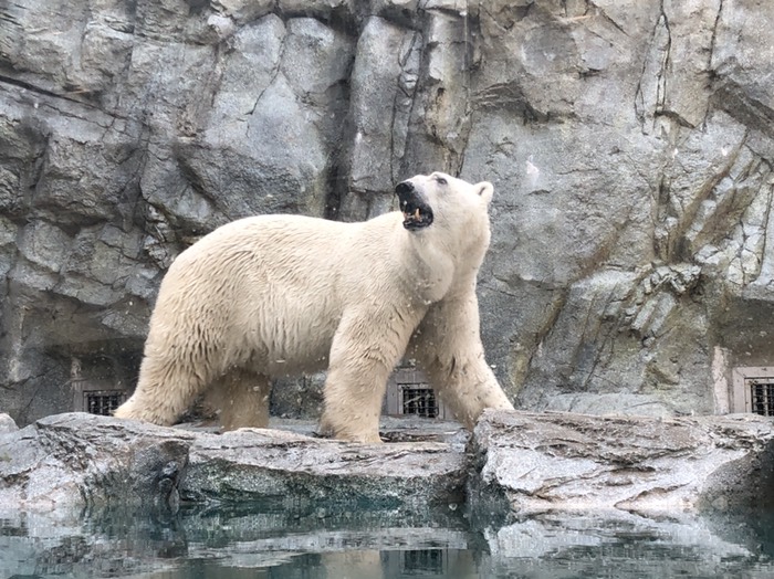男鹿水族館GAO