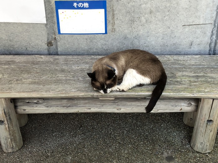 久慈琥珀博物館