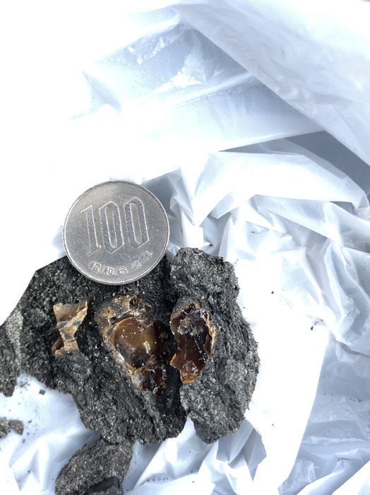 久慈琥珀博物館