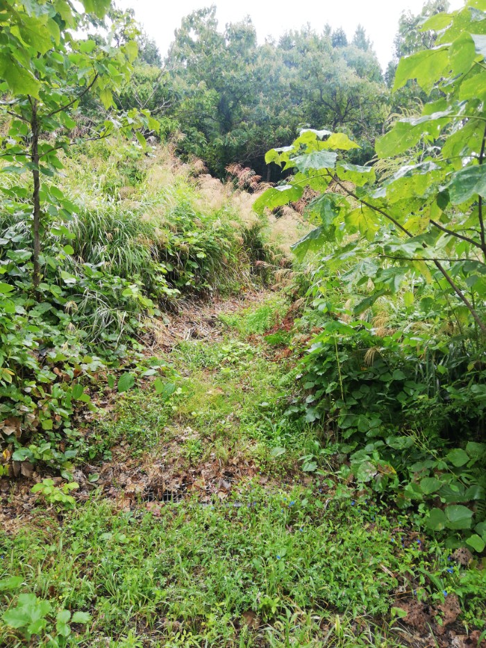 鉄塔管理用の作業通路