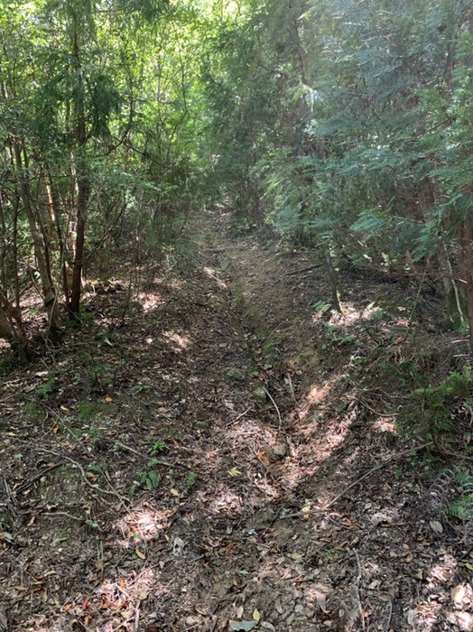 中国電力鉄塔道