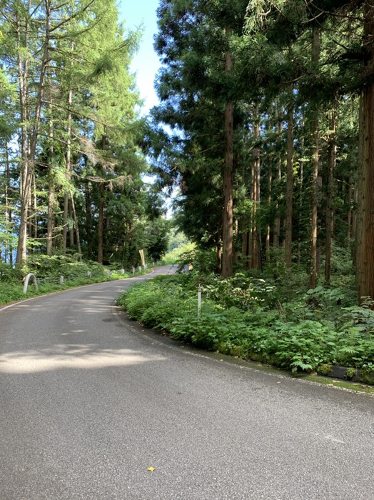 ここの坂がキツイ！