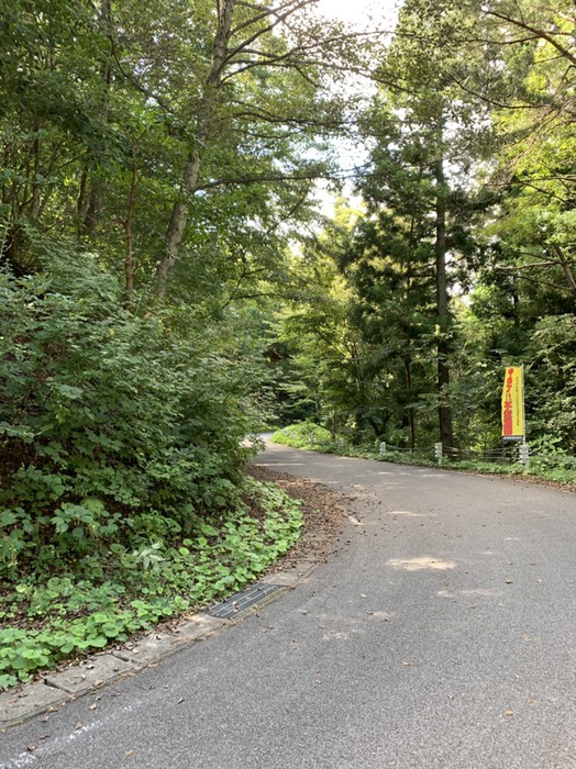 峠の一番高い地点！