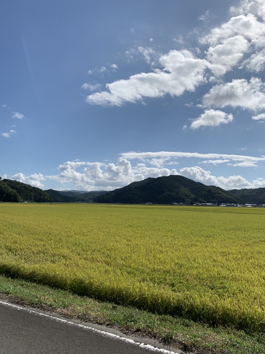 峠を抜けると一面…