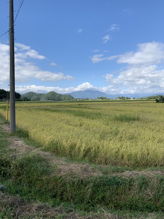 風を感じる吹き抜けていい場所！