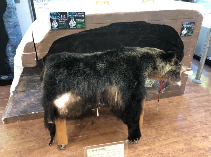 知床自然センター