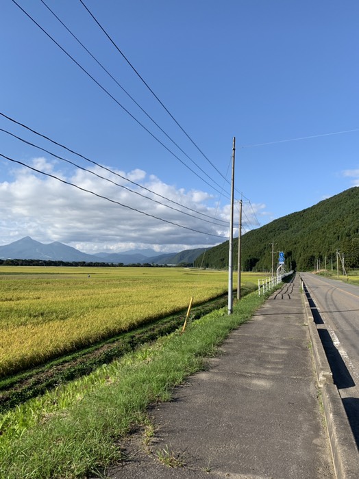 田んぼが続きます