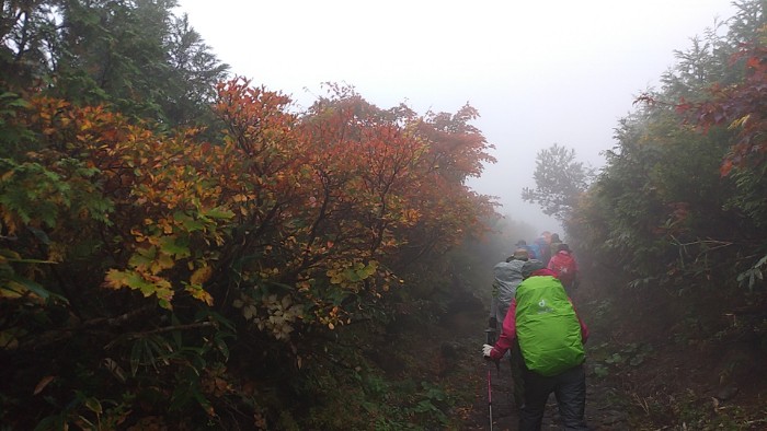 栗駒山登山道