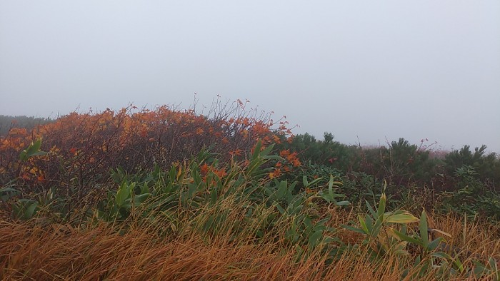 田沢湖がみえるはずのスポット