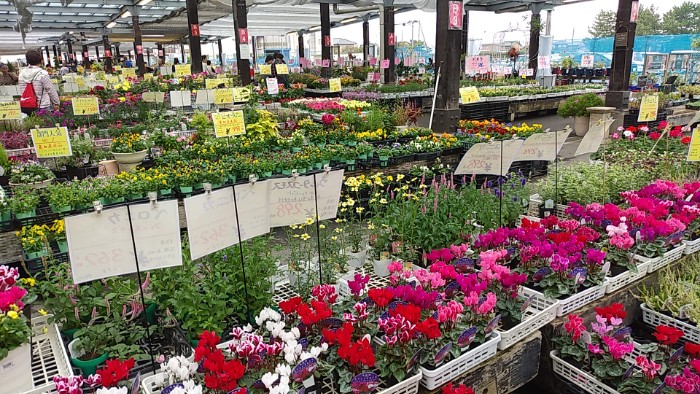 花市場