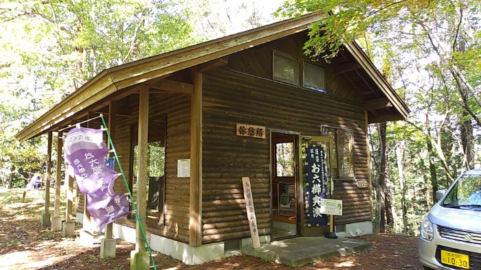 お六櫛 実演販売