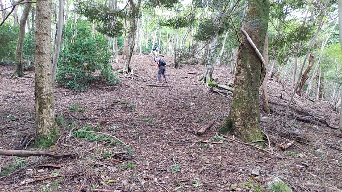 野鳥の森コース 遊歩道