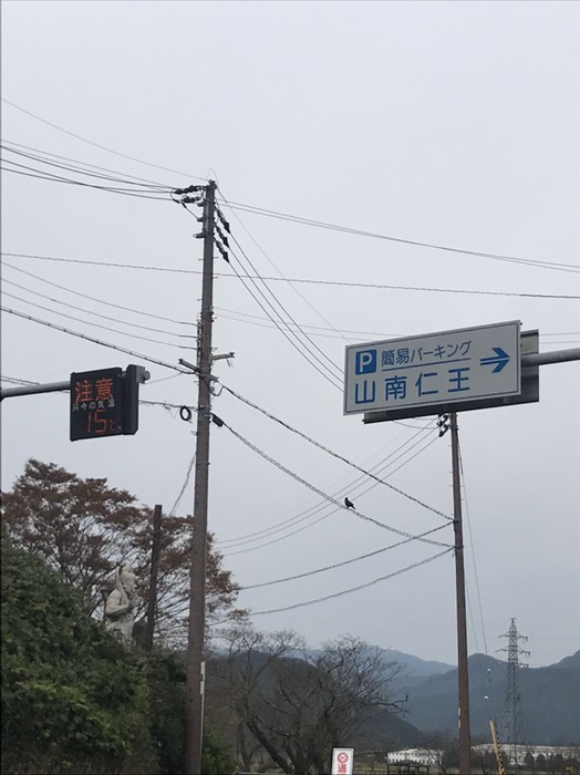 15度　ちょっと寒い。