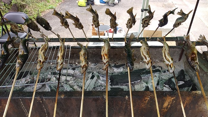 岩魚の振る舞い