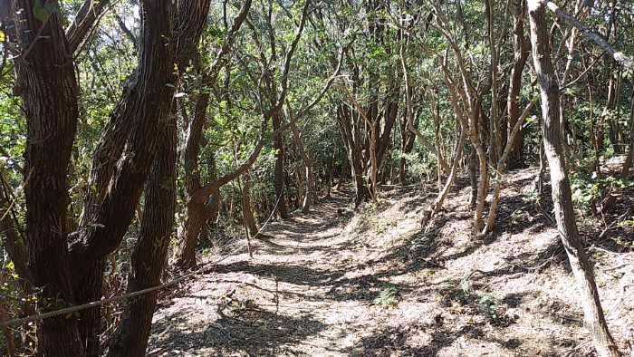 近畿自然歩道