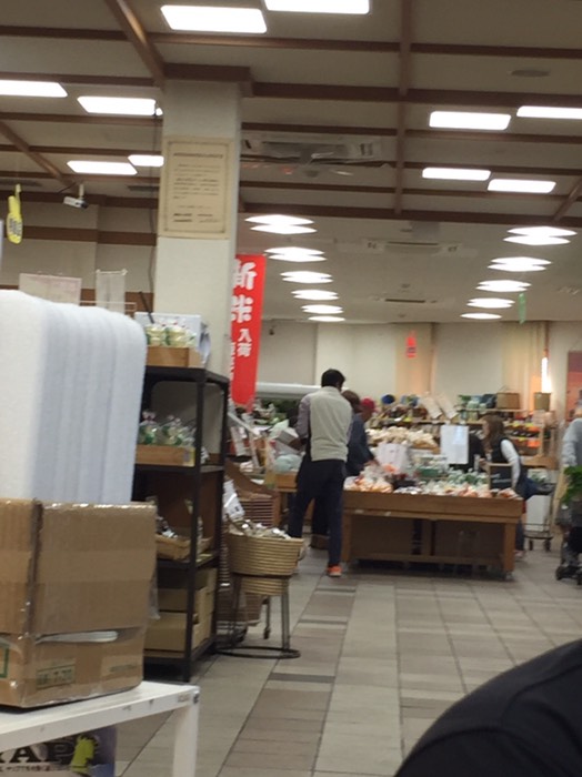 湖北水鳥ステーション