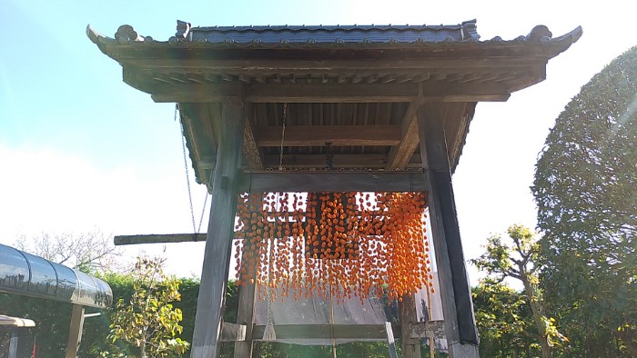 鐘楼柿すだれ （松源寺)