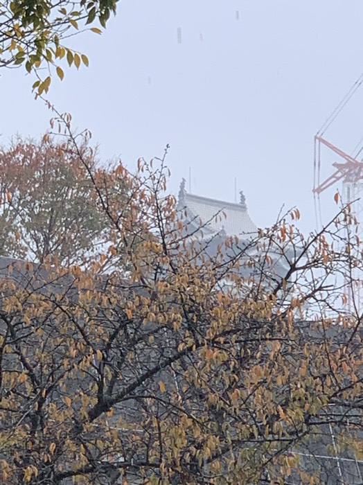 さきっちょだけ